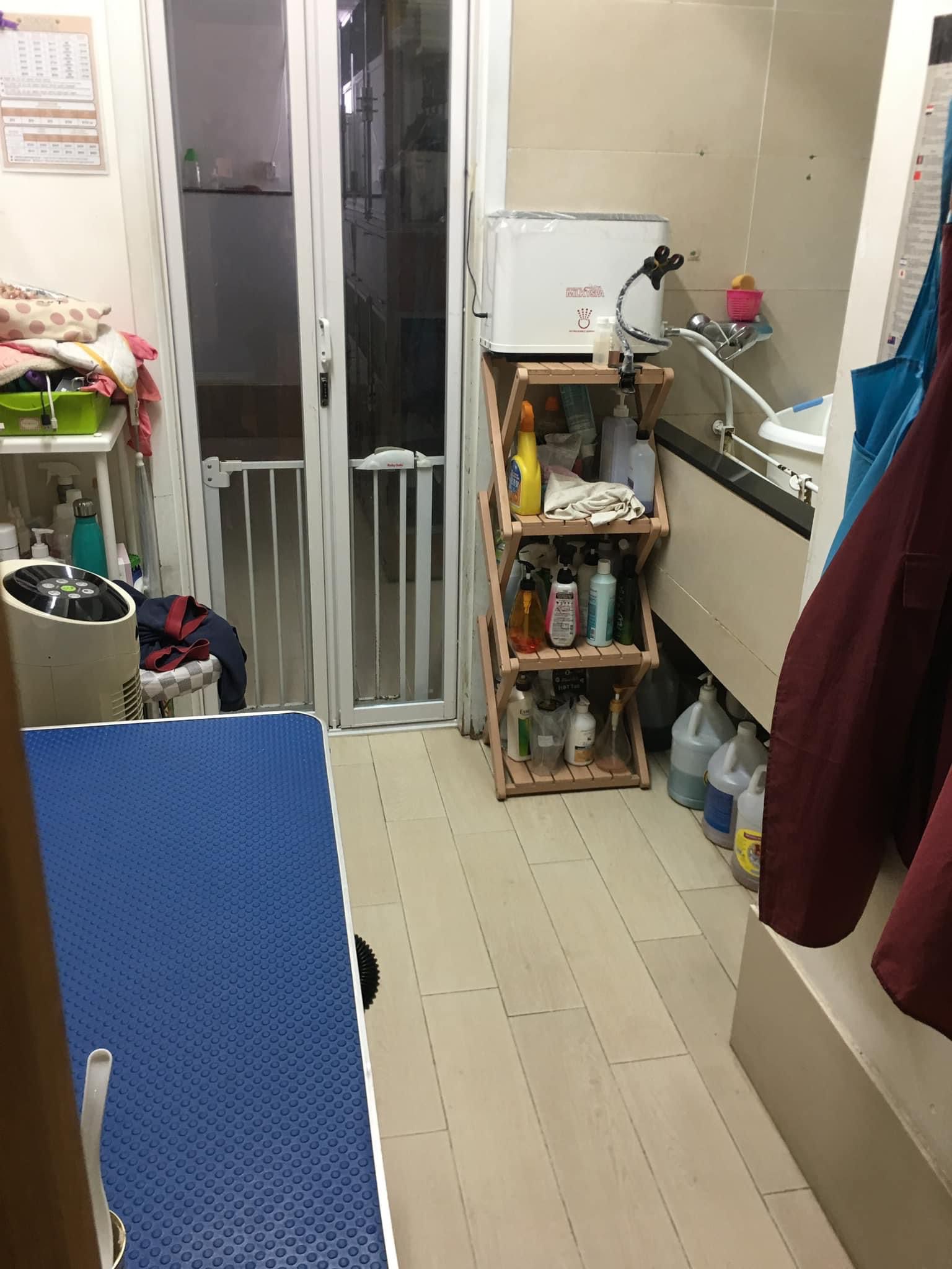 銅鑼灣成立約8年連200-300客底設2房約750呎位於樓上舖寵物用品及寵物美容店生意轉讓 實景相片 4