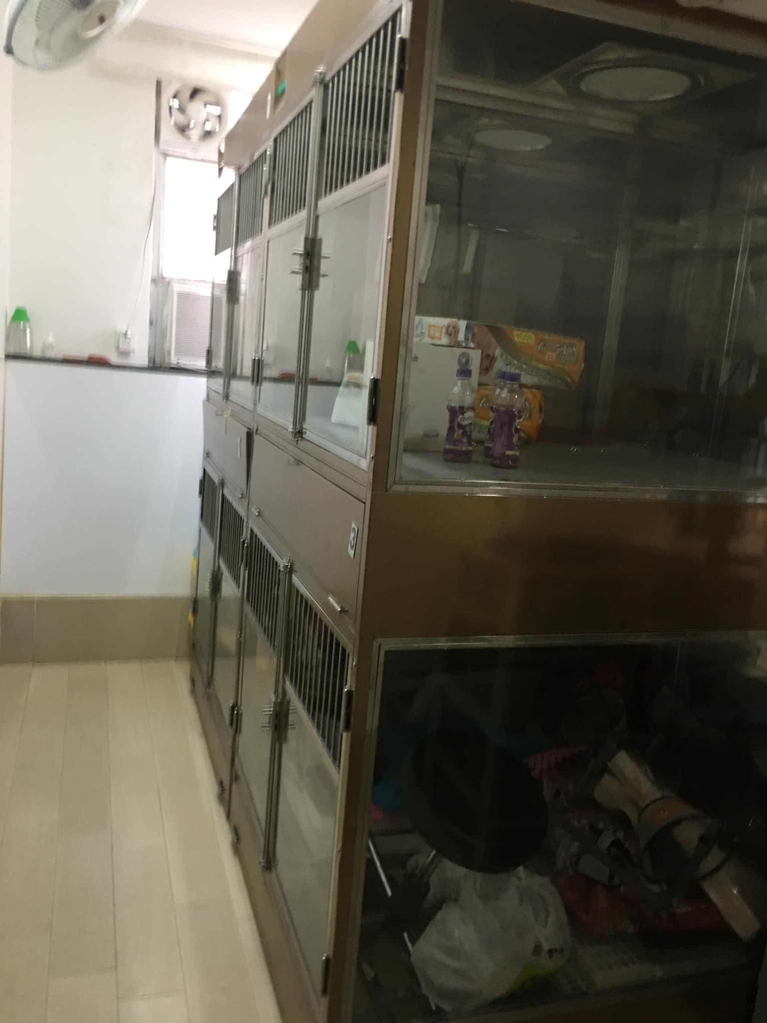 銅鑼灣成立約8年連200-300客底設2房約750呎位於樓上舖寵物用品及寵物美容店生意轉讓 實景相片