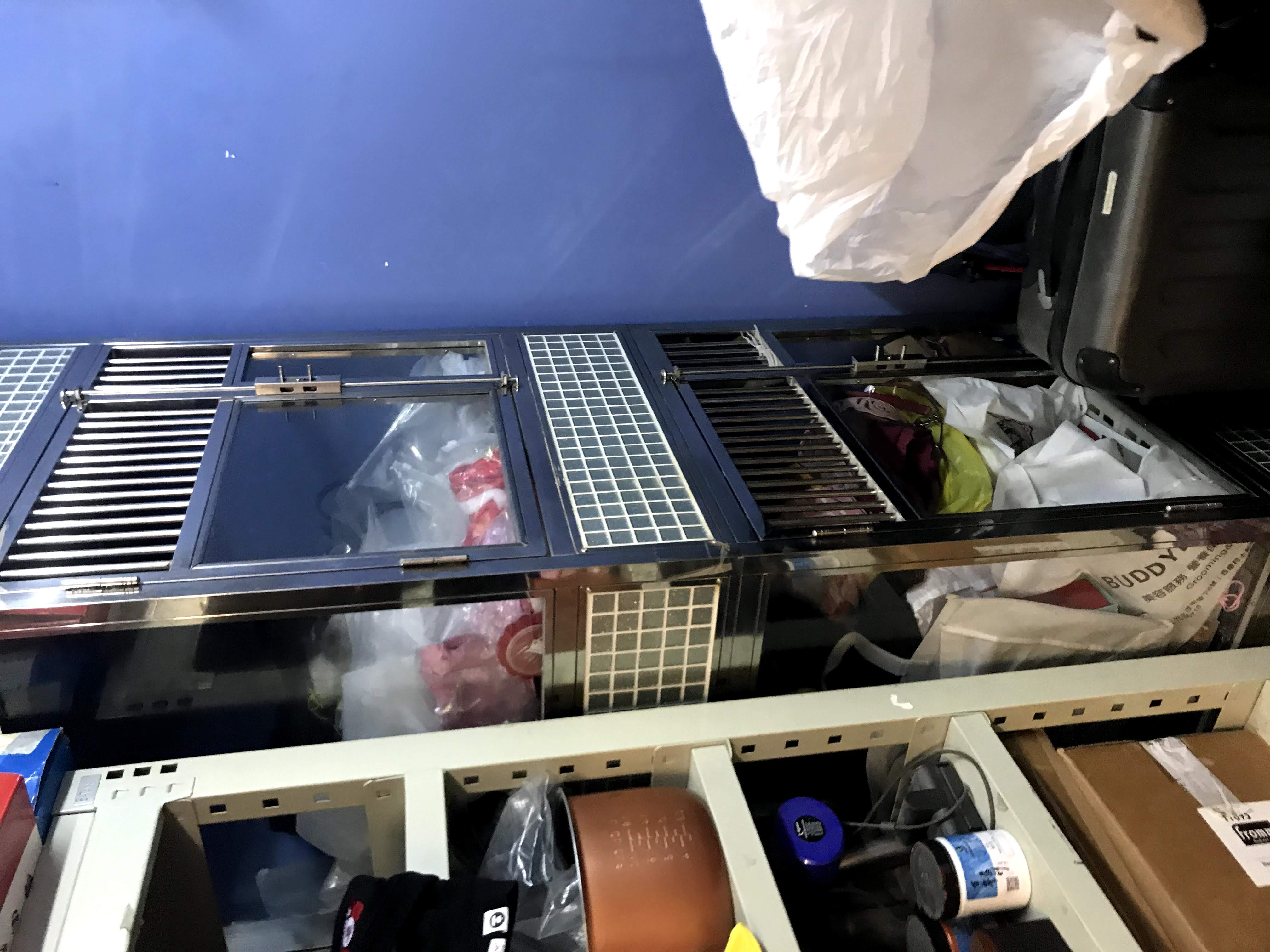 九龍區具口碑營運數年位置獨特優越班底可留已Autorun住宅環繞客源充足生意極穩定寵物店寵物美容生意轉讓 實景相片