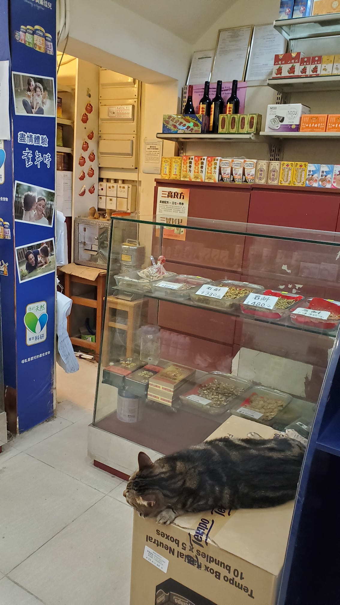 太子退休放盤約5個月回本連存貨約$35,000經營約12年歷史約1,000呎位於地舖中藥材零售店中藥行生意轉讓 實景相片