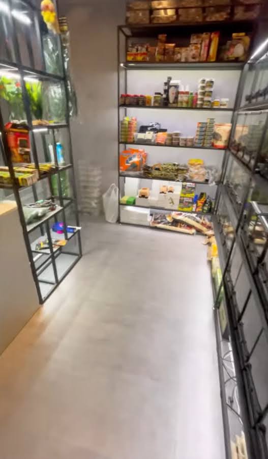 太子經營5年大量熟客行業獨大大量愛好者各種爬蟲零售繁殖連FB, IG, follower共約一萬多寵物店生意頂讓 實景相片 2
